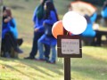 Tn DSC 1737